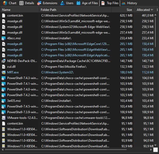 TreeSize Pro top files pane